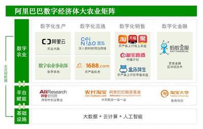 年货节背后的秘密:阿里助农往事